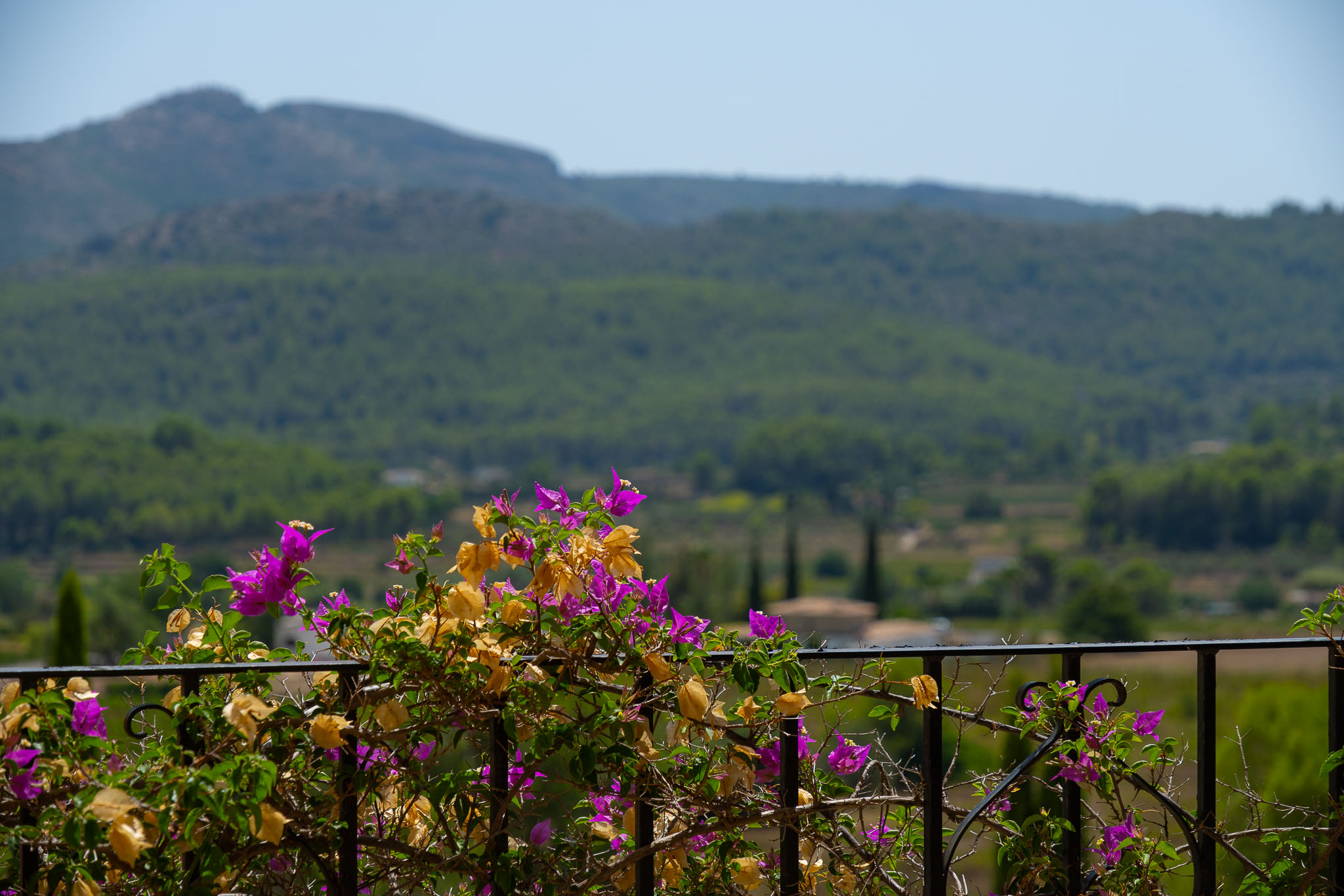 Vistas a la montaña desde la terraza