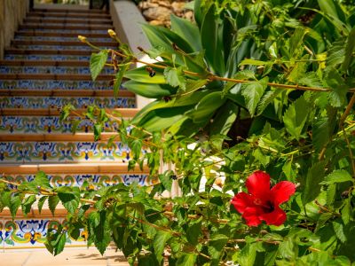 Escaleras exteriores del jardín