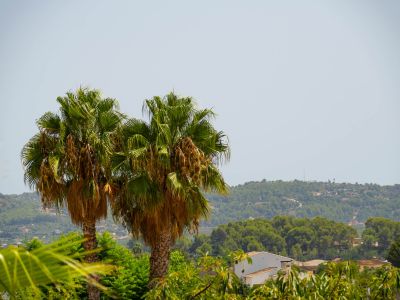 Vistas al valle y montañas