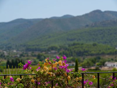 Vistas al valle y las montañas