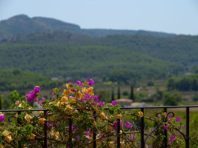 Vistas a la montaña desde la terraza