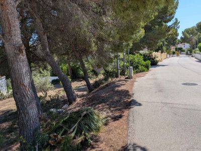 Acceso a la parcela