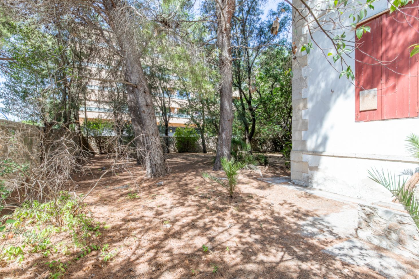 Jardín arbolado de la propiedad