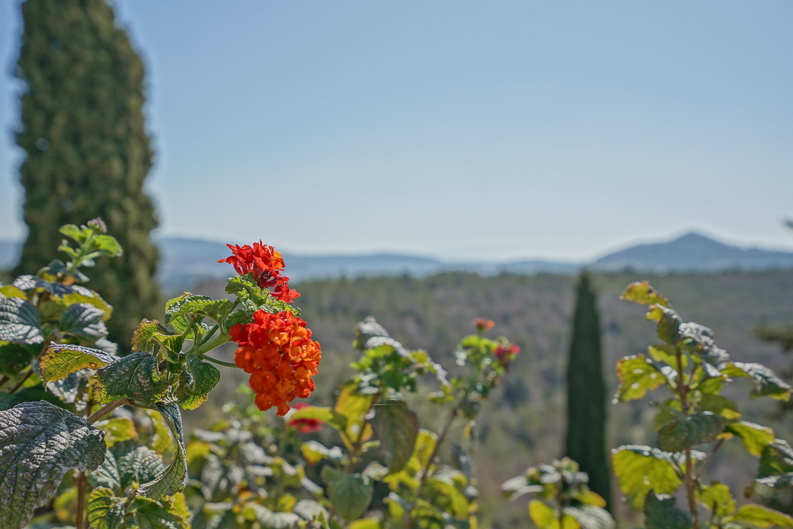 Jardín con vistas al paisaje