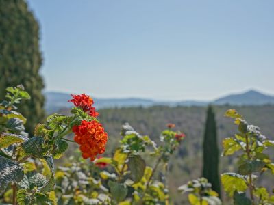 Jardín con vistas al paisaje
