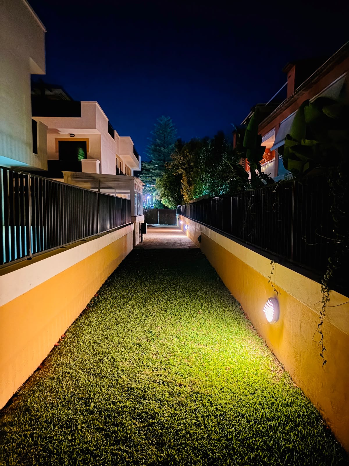 Camino del jardín comunitario