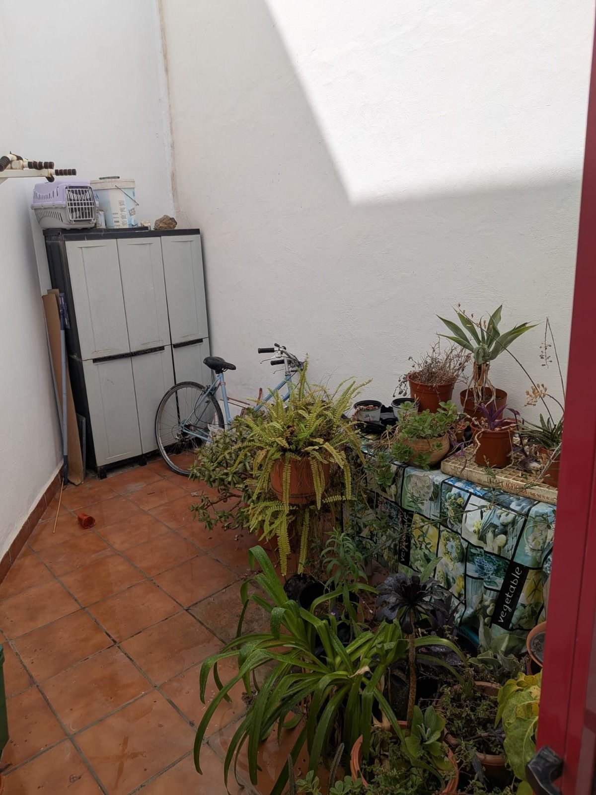 Patio interior