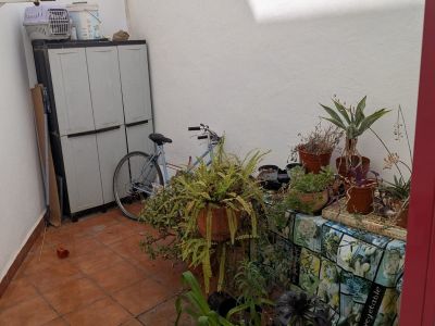 Patio interior