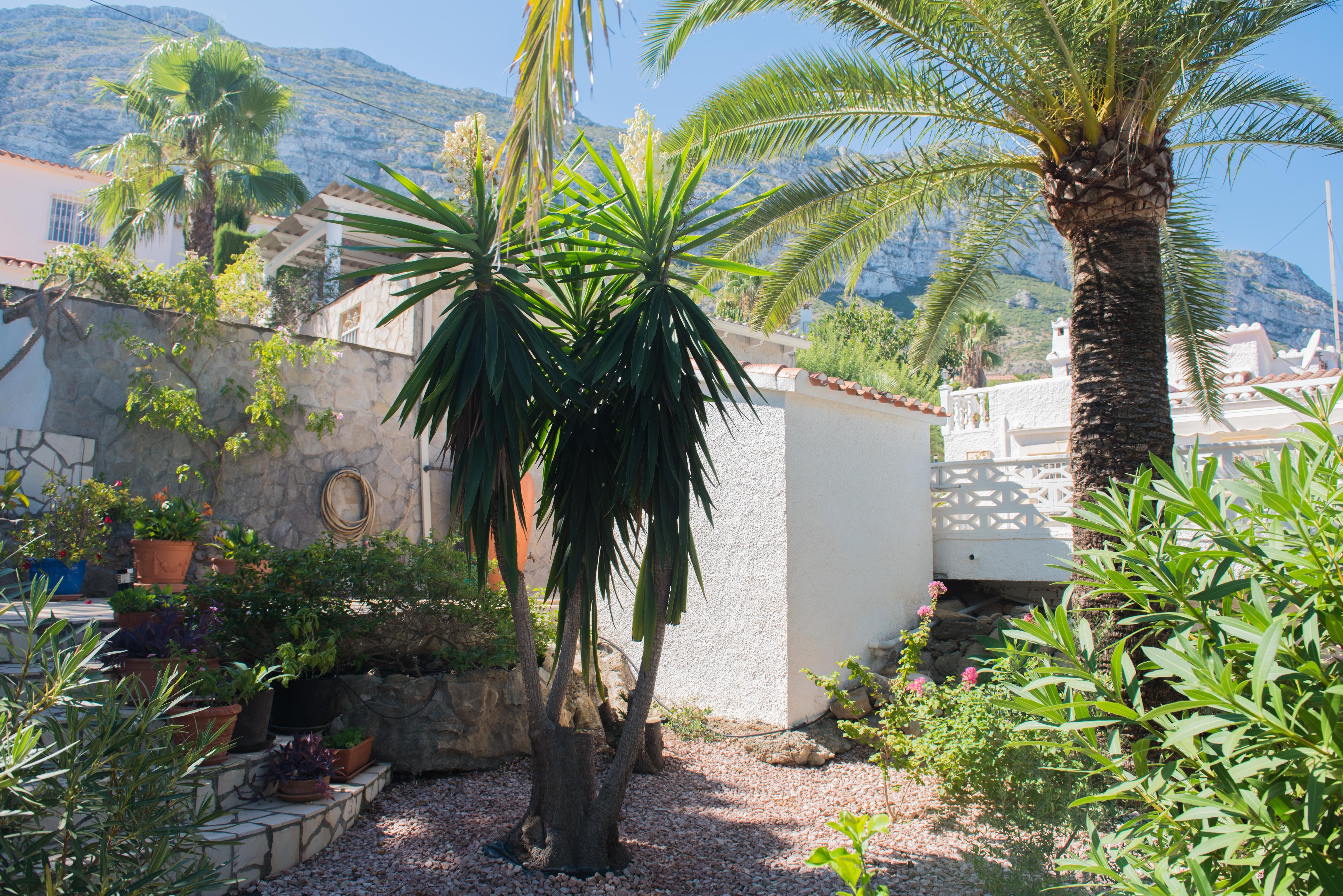 Casa Almar – Encantadora villa en venta en Dénia, Montgó