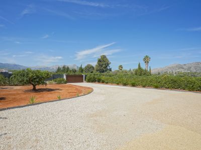 Camino de entrada y portón