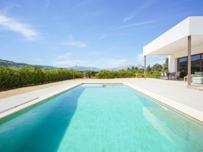 Piscina y terraza