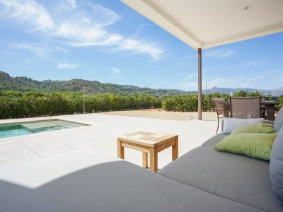 Terraza cubierta y piscina