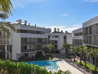 Piscina comunitaria y jardines