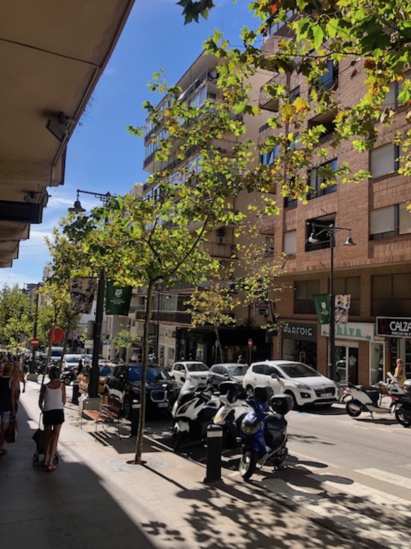 Vista de la calle