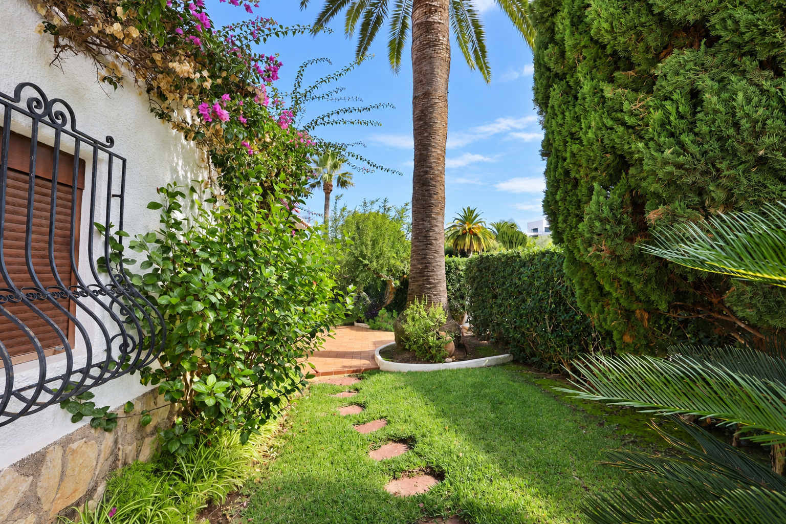Jardín con palmera