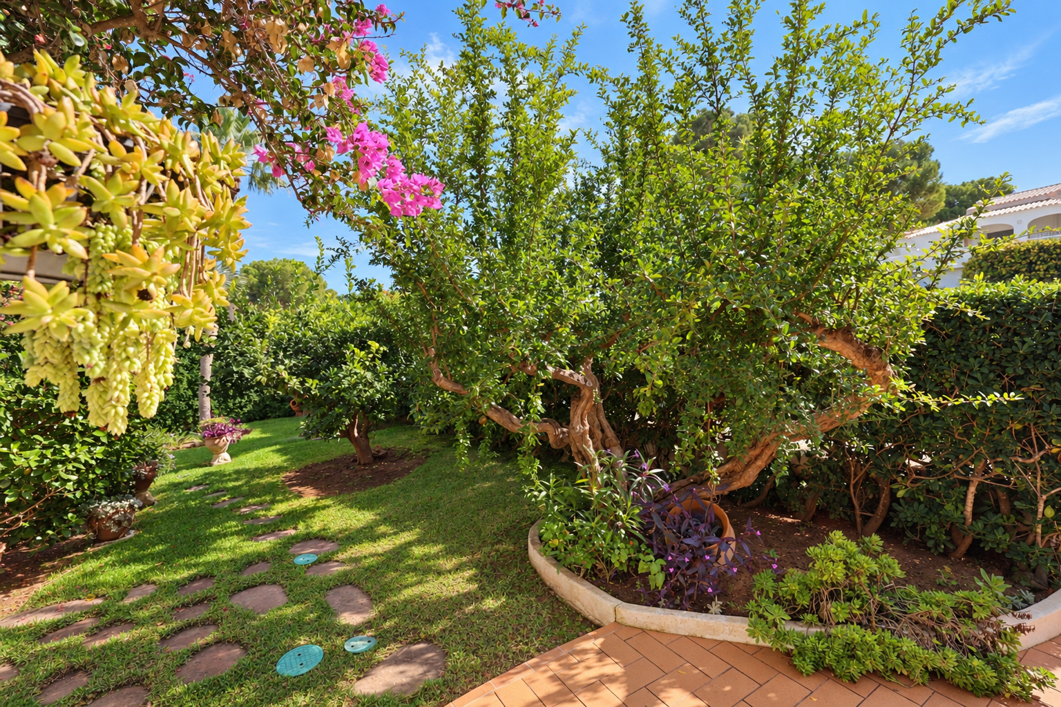 Jardín de la propiedad