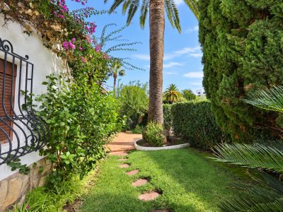 Jardín con palmera