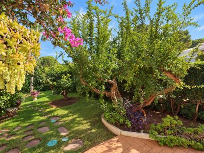 Jardín de la propiedad