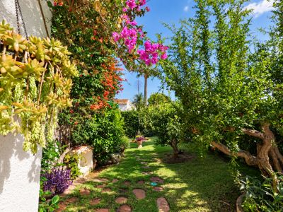 Camino del jardín