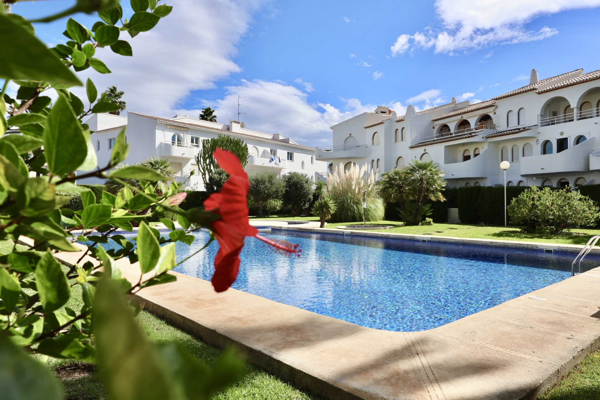 Piscina comunitaria y jardines
