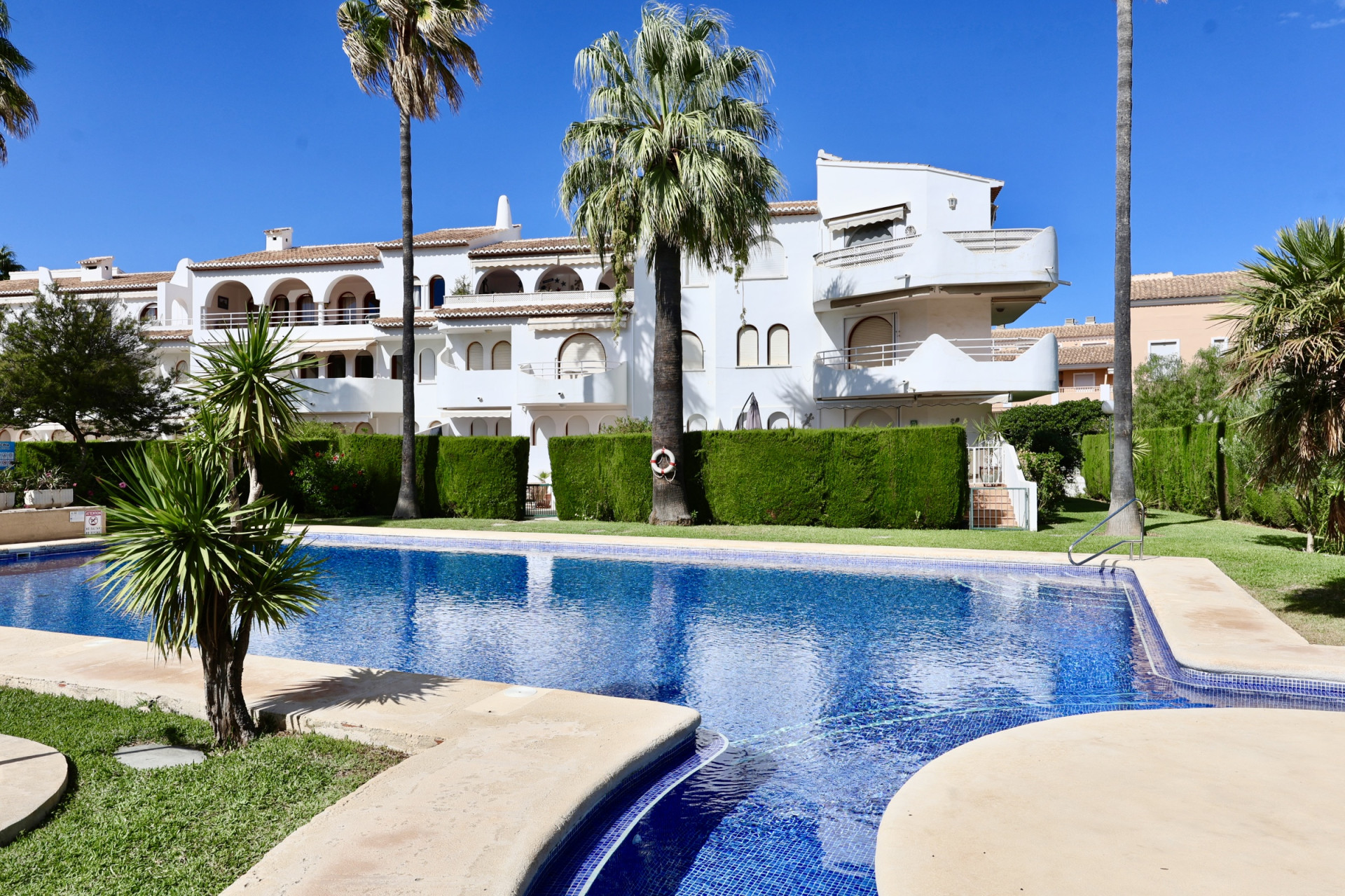 Piscina comunitaria y jardines