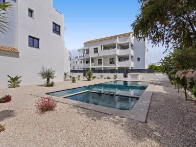 Piscina comunitaria y jardín