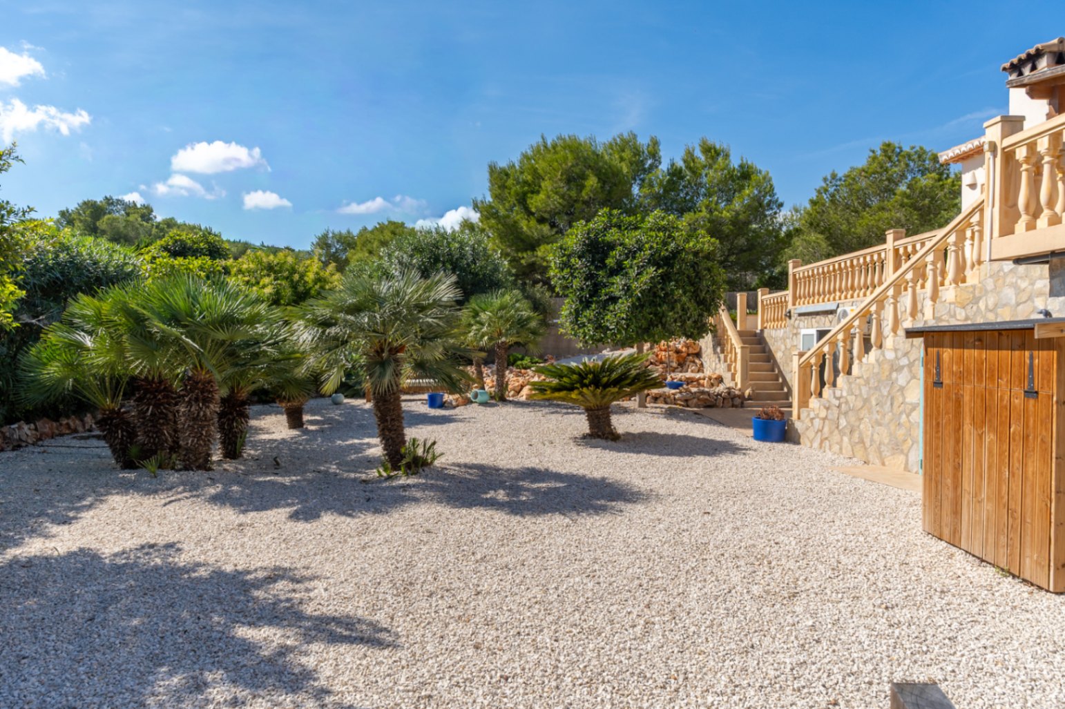 Jardín mediterráneo con palmeras