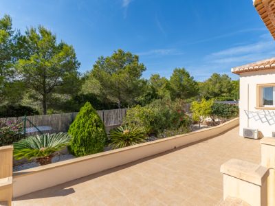 Terraza y jardín