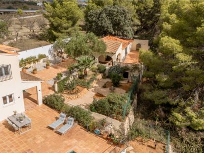 Jardín y casa de invitados