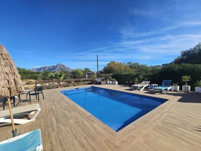Piscina y terraza