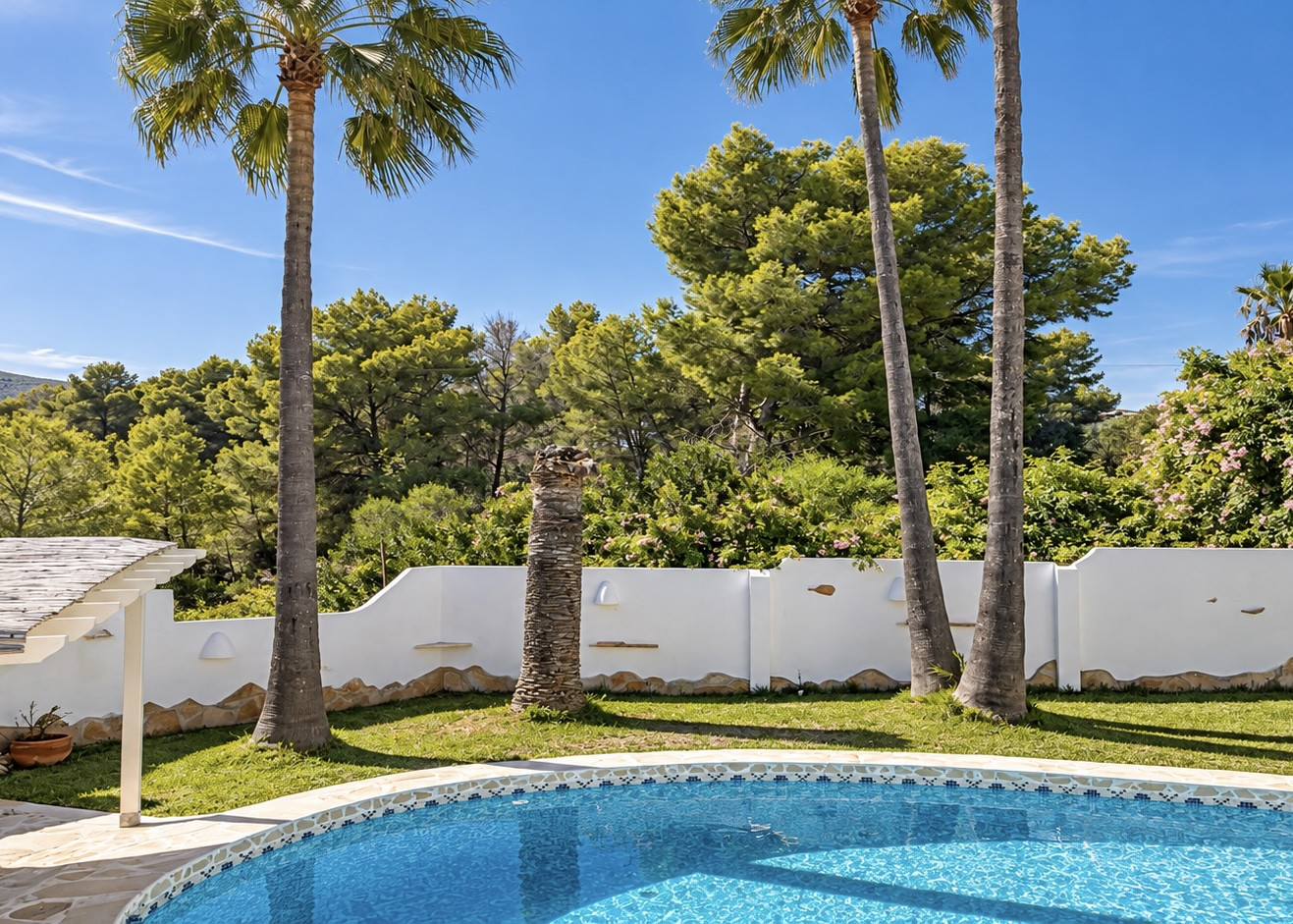 Piscina y jardín