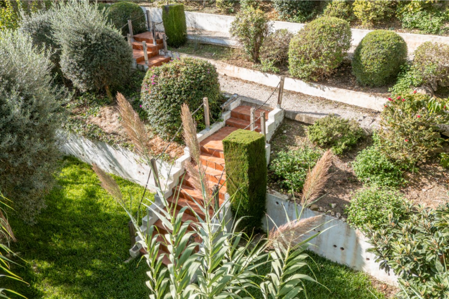 Escaleras del jardín