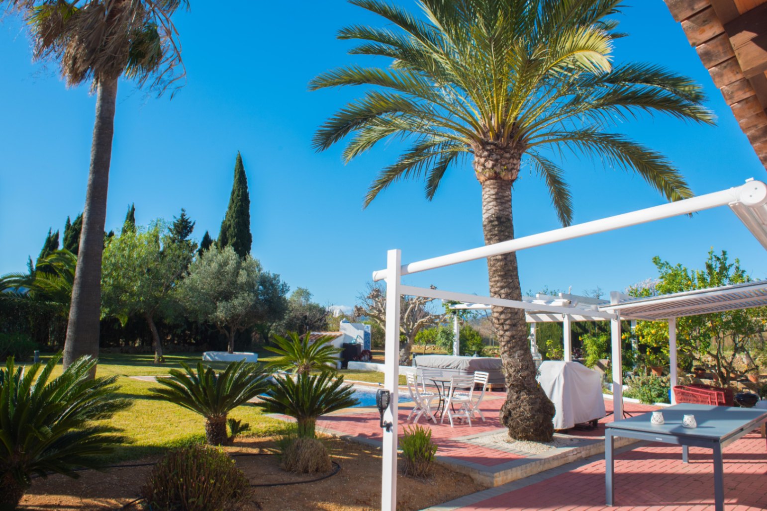 Jardín mediterráneo con palmeras maduras, estructura de pérgola blanca y terraza de terracota con mobiliario de comedor exterior junto a la piscina.