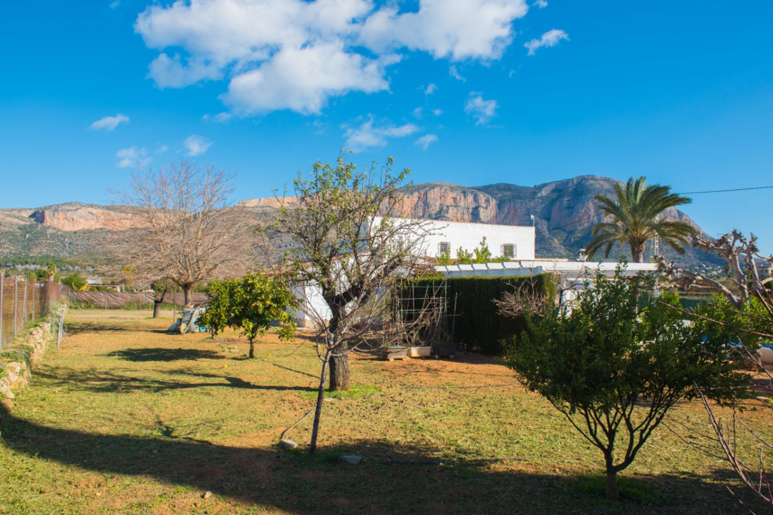 Vista exterior de la villa blanca con un amplio jardín de árboles frutales y una palmera, con el macizo del Montgó como telón de fondo natural.