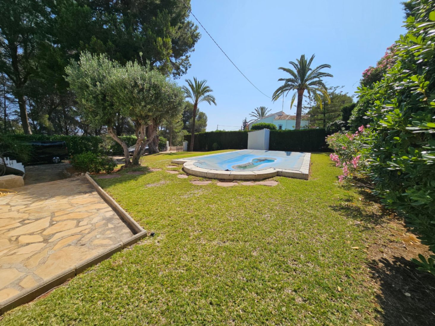 Zona de jardín con césped y piscina protegida por una cubierta azul, rodeada de piedra natural, olivos maduros, palmeras y adelfas en flor.