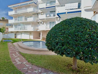 Vista exterior del edificio de apartamentos con piscina comunitaria, rodeada de césped verde y un sendero de piedra. Un arbusto topiario esférico adorna el jardín.