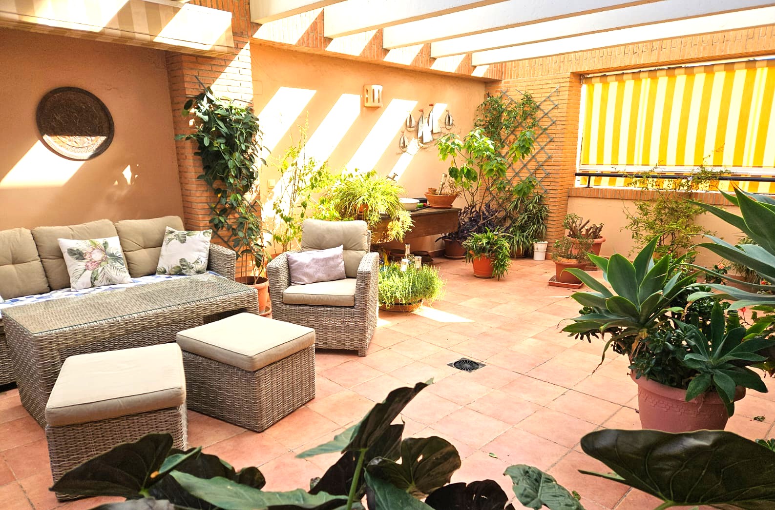 Amplia terraza con suelos de terracota, conjunto de sofás de mimbre gris, vigas de pérgola blancas y variada vegetación mediterránea en macetas bajo luz natural.