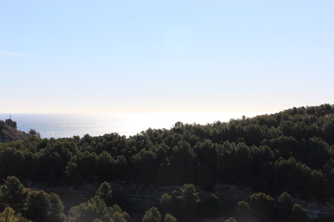 Vistas panorámicas elevadas hacia un denso bosque de pinos mediterráneos con el mar de fondo y el reflejo del sol sobre el agua.