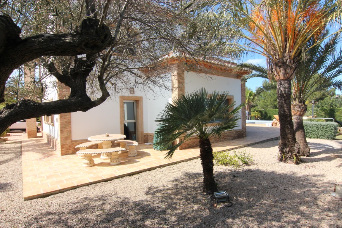 Terraza lateral con pavimento de terracota y mobiliario de piedra, rodeada de un jardín mediterráneo con palmeras y árboles maduros que proporcionan sombra natural.