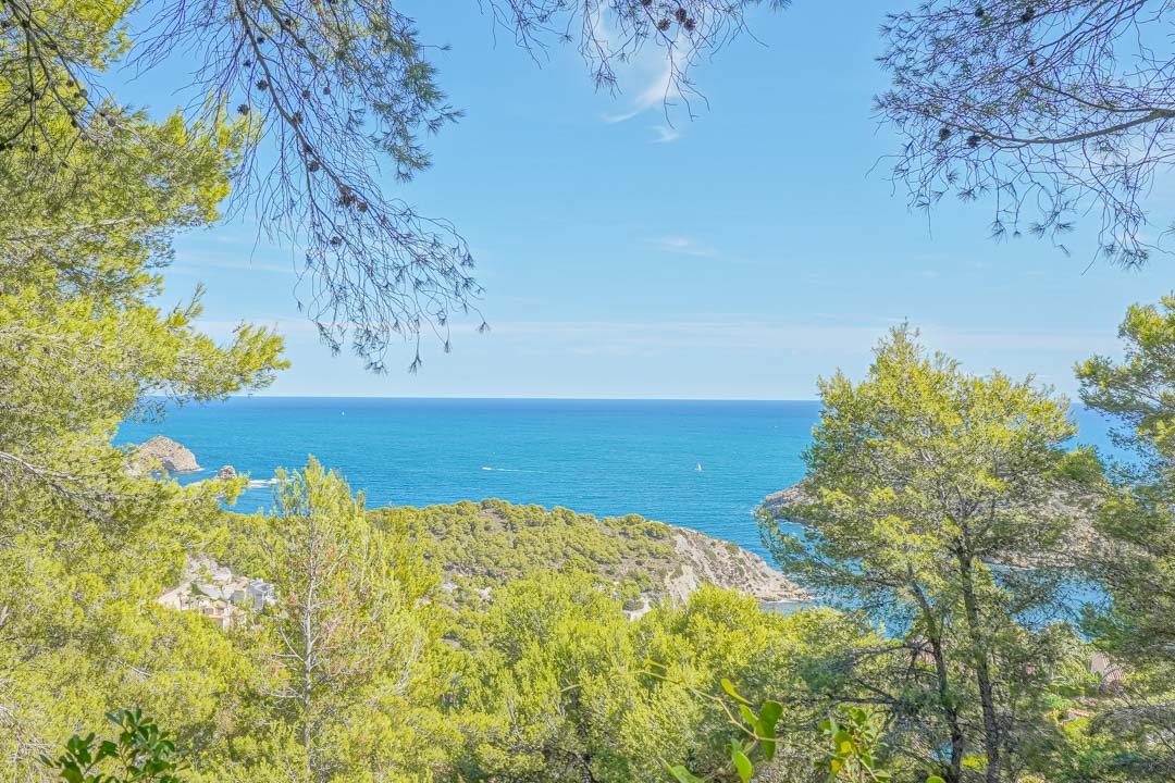 Vista panorámica del mar Mediterráneo y la costa de Portichol, enmarcada por pinos maduros desde la ubicación elevada de la parcela.