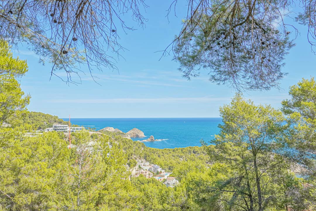 Vista panorámica del mar Mediterráneo y la isla del Portichol desde la parcela, enmarcada por pinos autóctonos y vegetación costera en Jávea.