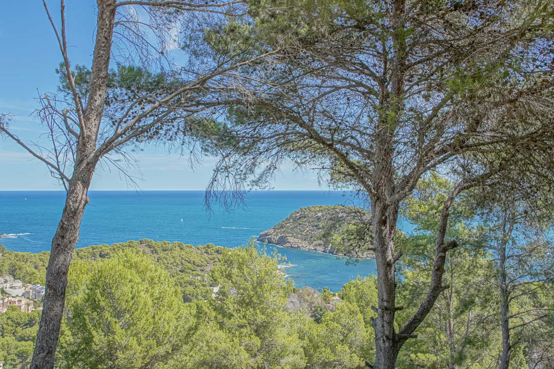 Vista panorámica del mar Mediterráneo y la isla del Portichol enmarcada por pinos autóctonos desde la parcela elevada en Jávea.