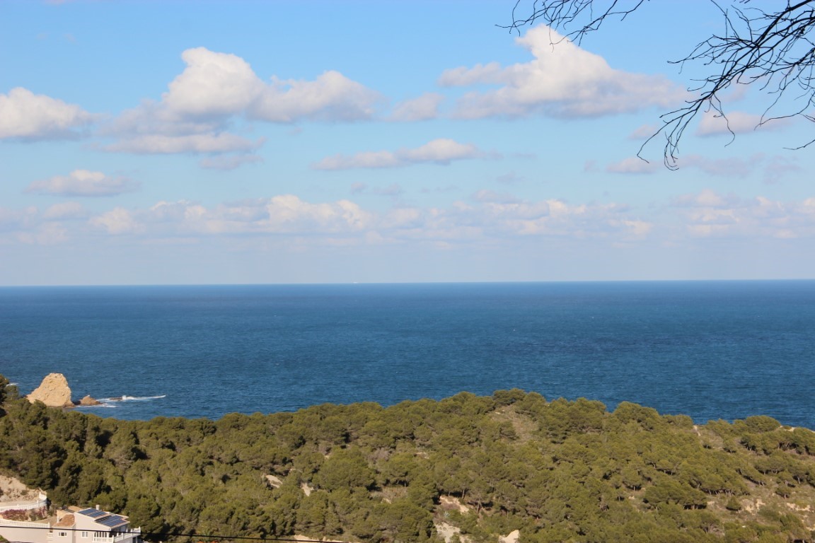 Vista panorámica al mar Mediterráneo desde la parcela, destacando el denso pinar virgen y el icónico islote rocoso bajo un cielo despejado con nubes dispersas.