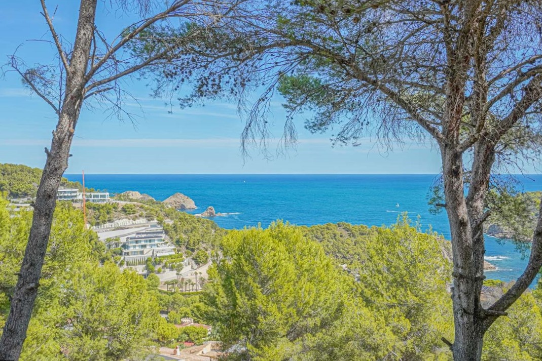 Vistas panorámicas al mar Mediterráneo enmarcadas por pinos autóctonos, mostrando la costa de Jávea y la arquitectura moderna circundante.