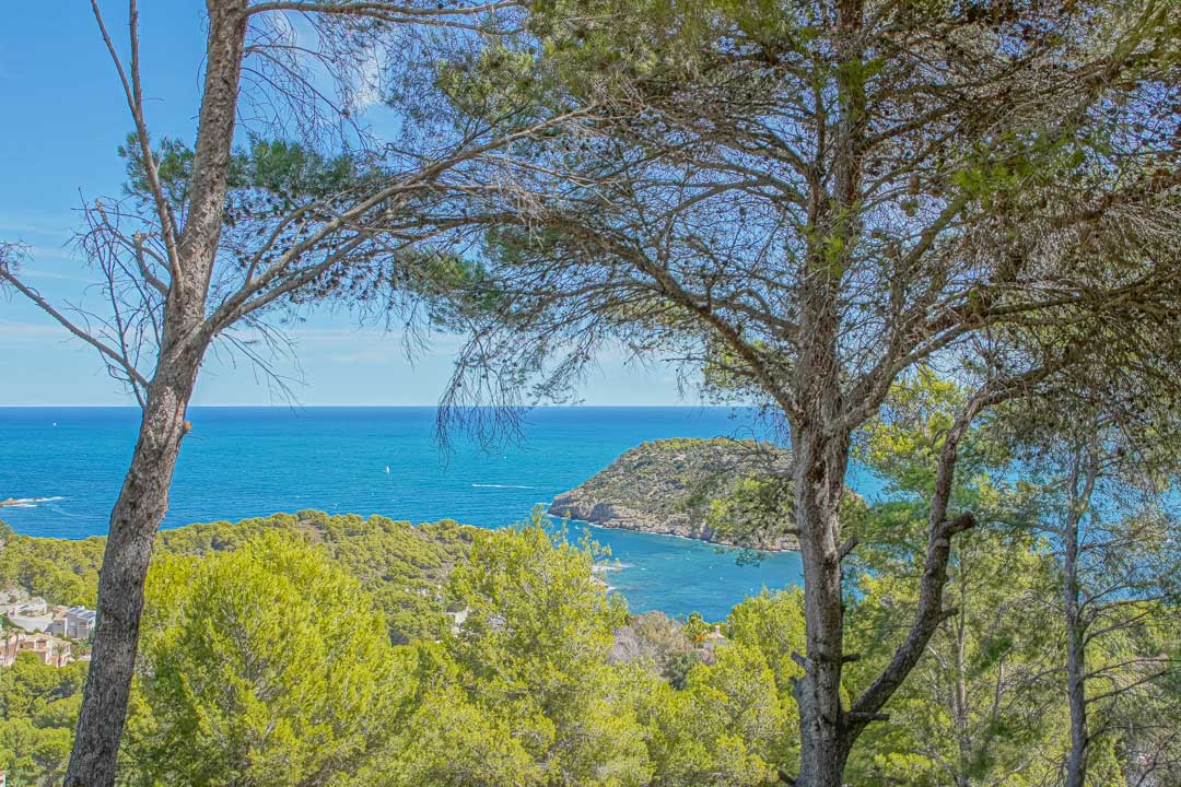 Vistas panorámicas al Mar Mediterráneo y la Isla del Portichol, enmarcadas por pinos autóctonos desde la propiedad en Jávea.