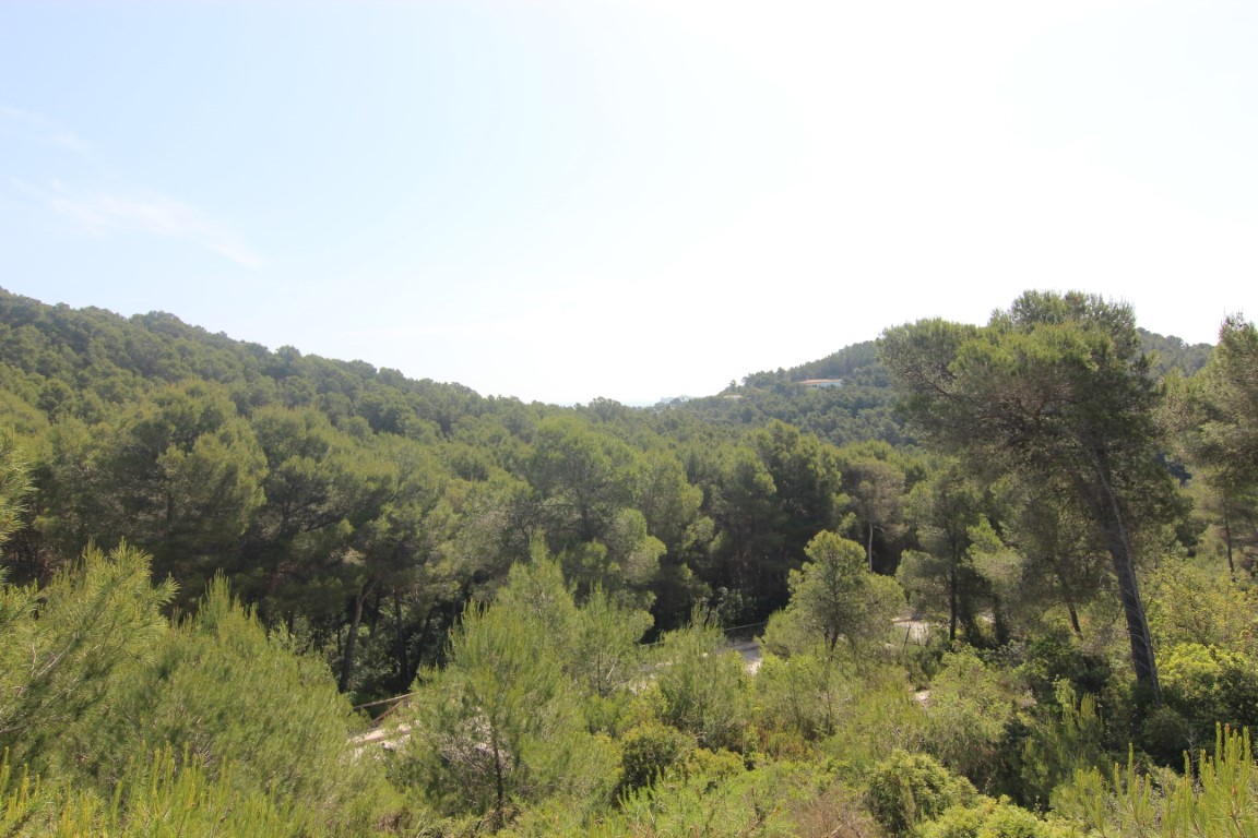 Vistas panorámicas a las colinas arboladas de pinos mediterráneos desde las parcelas en Jávea. Un entorno natural protegido con horizontes despejados.