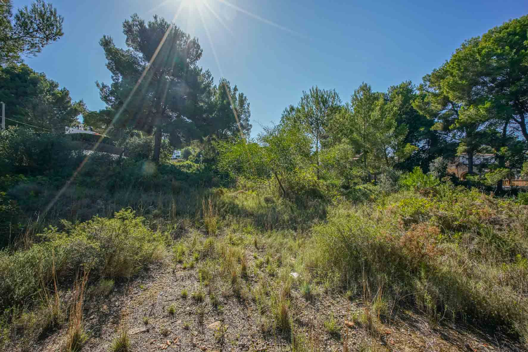 Parcela urbana de 2700 m2 con vegetación autóctona y pinos maduros, situada en una zona residencial tranquila con orientación soleada.