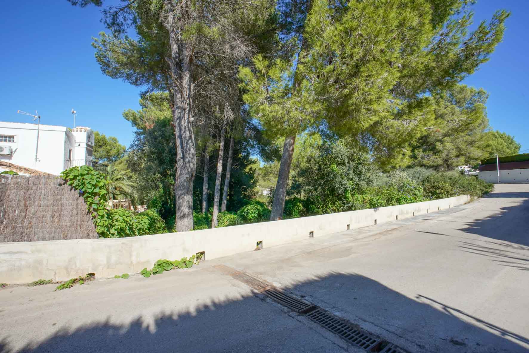Vista exterior de la parcela desde la calle asfaltada, mostrando el muro de contención perimetral y los pinos maduros bajo un cielo despejado.