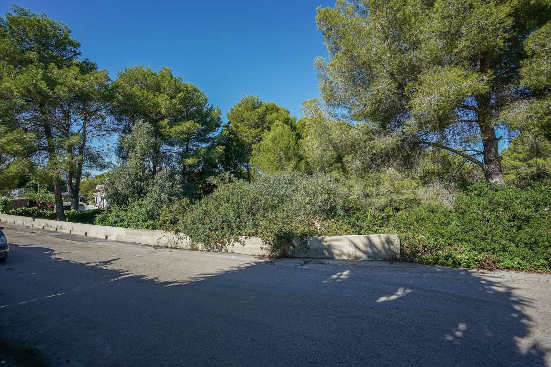 Vista exterior de la parcela en esquina, delimitada por un muro de hormigón y rodeada de pinos maduros y vegetación mediterránea autóctona bajo un cielo despejado.