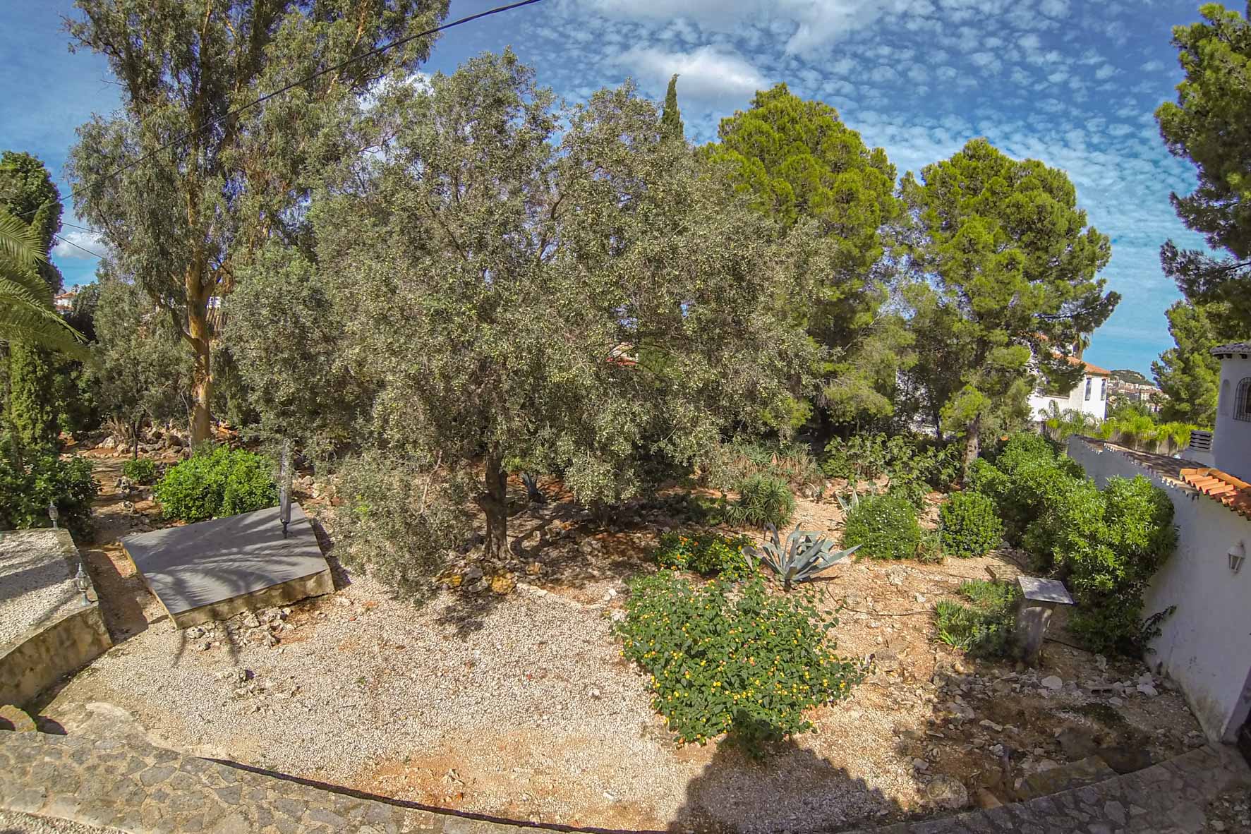 Vista del jardín mediterráneo con árboles maduros y vegetación variada, en parcela privada.